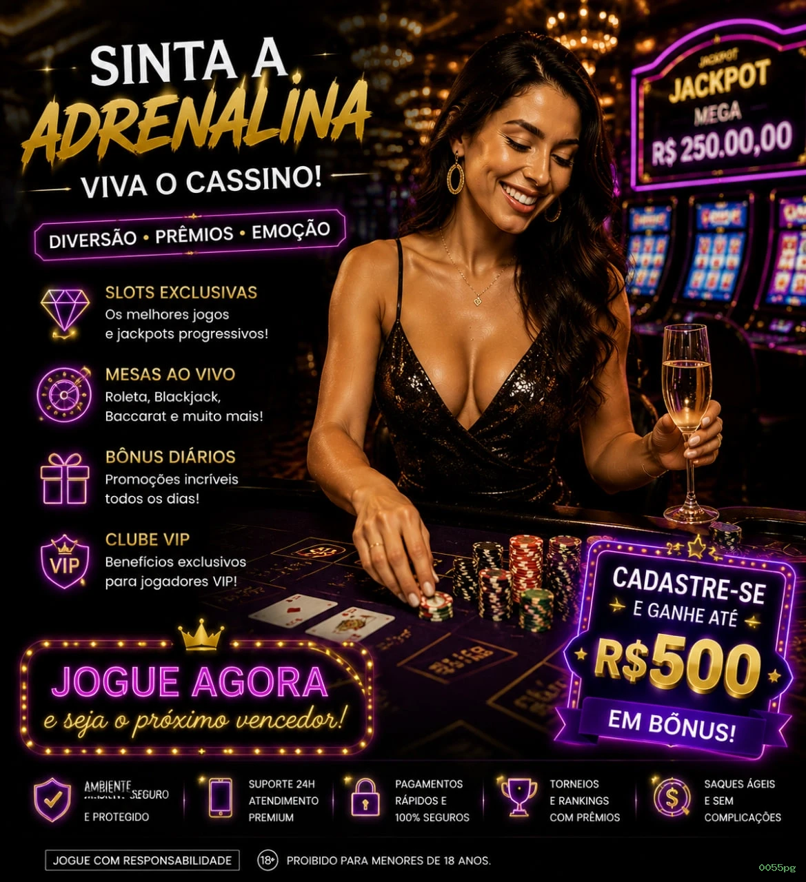 Conta 0055pg sincronizada site e app